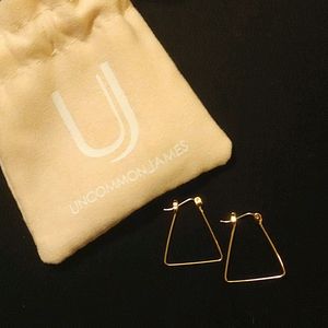 Uncommon James earrings